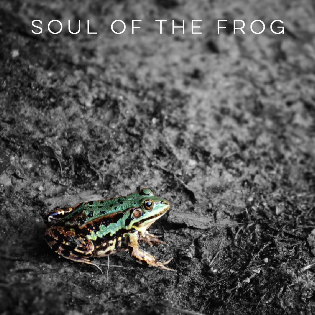 cover from soul of the frog album